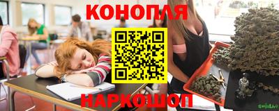 шишки Новозыбков
