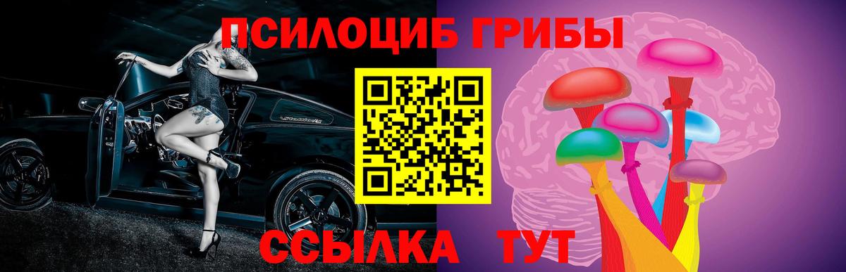 Псилоцибиновые грибы мухоморы Славгород