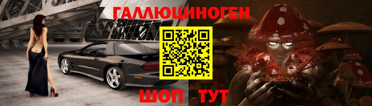 где продают наркотики  Галлюциногенные грибы Psilocybine cubensis  Вход с VPN  Славгород  Галлюциногенные грибы Psilocybe 